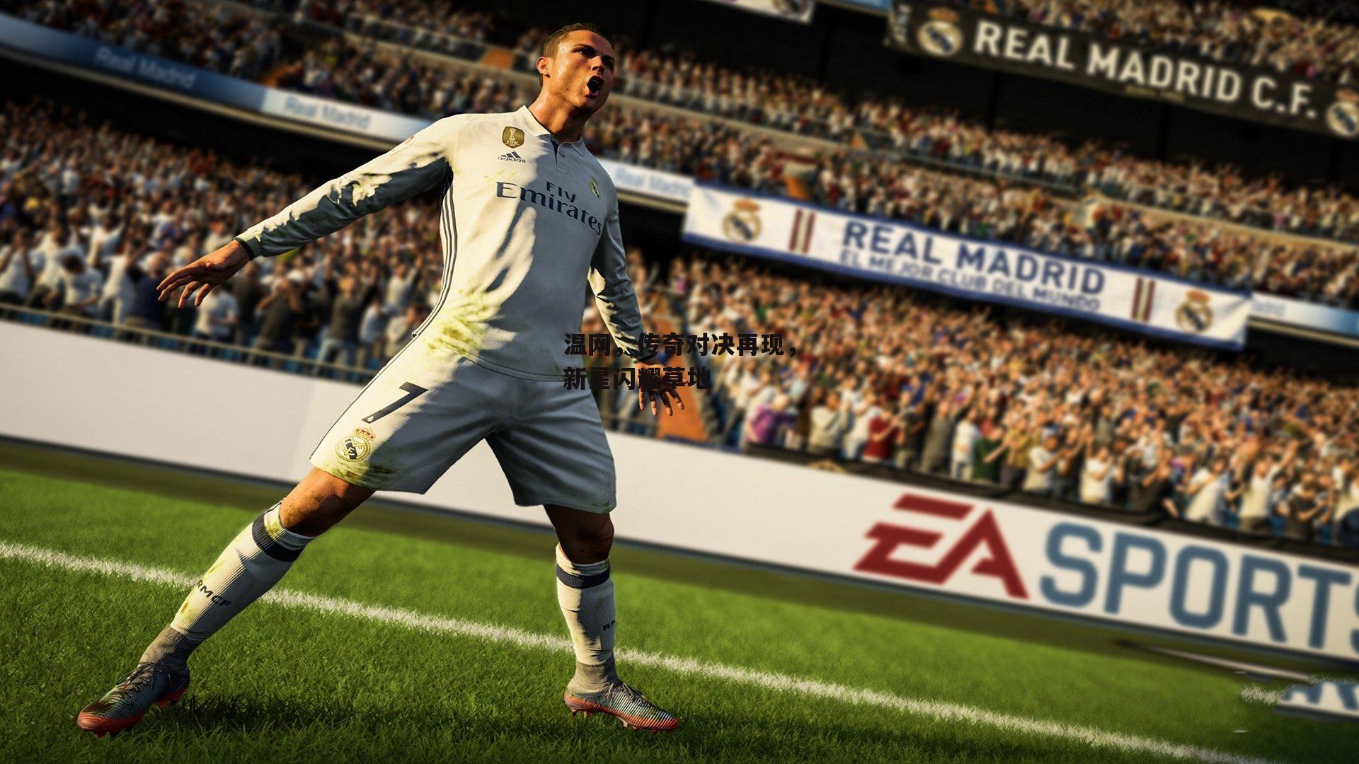 温网,传奇对决再现,新星闪耀草地